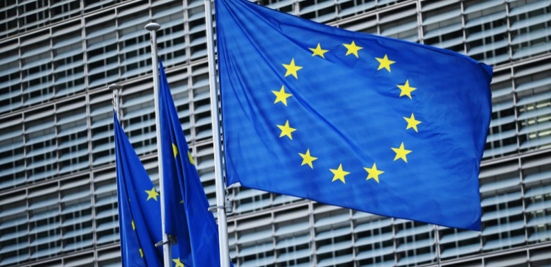ЕС не должен втягиваться в конфликт на Украине, заявил евродепутат