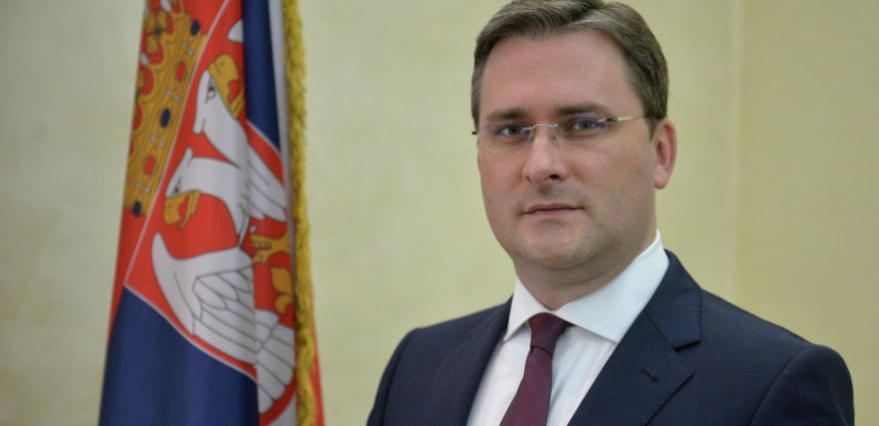 Министр культуры Сербии обсудил с Любимовой российско-сербское кино
