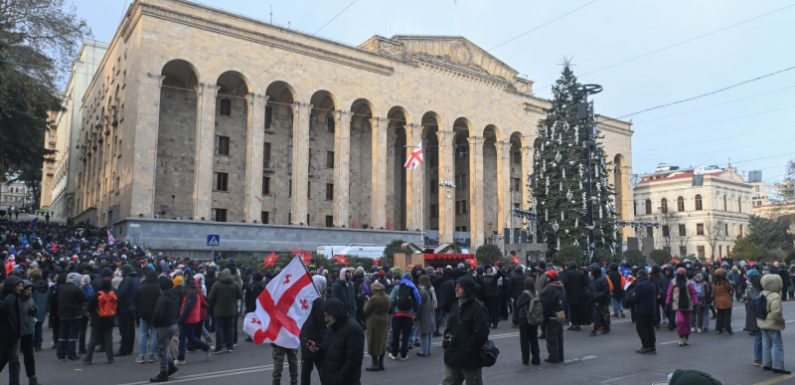 Полицейские оттесняют протестующих в Тбилиси от елки у парламента