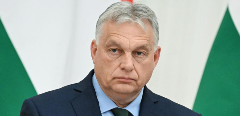 Украина поставила не на ту лошадь, заявил Орбан