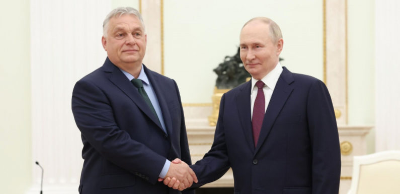 В Британии указали на важную деталь после звонка Орбана Путину