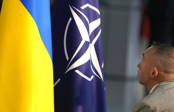 Украине придется отказаться от членства в НАТО, заявил эксперт