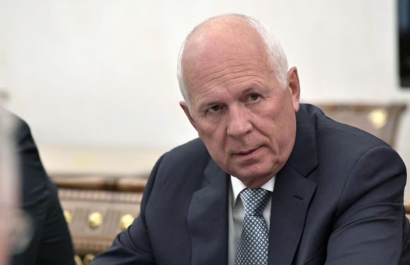 В Ростехе призвали Российские компании развивать сотрудничество с Африкой