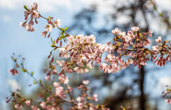 Какая погода будет в Казахстане 13 апреля