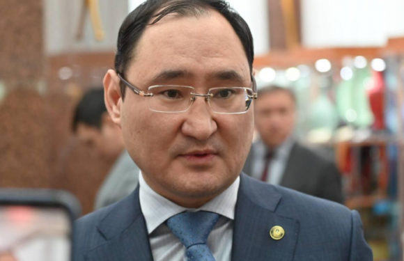 Почему в Казахстане будут культивировать промышленную коноплю, рассказал глава МВД