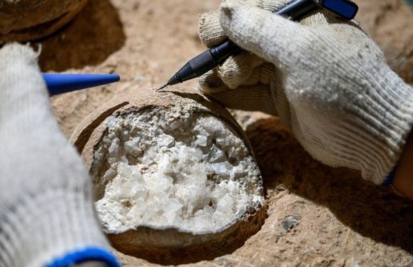 Опровергнута старая теория: оказалось, динозавры процветали до падения астероида
