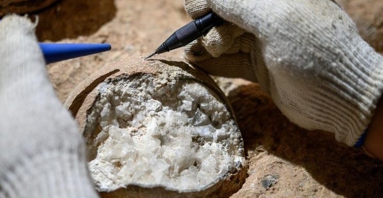 Опровергнута старая теория: оказалось, динозавры процветали до падения астероида
