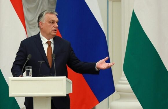 Мир или вечная война: Орбан бросил вызов Брюсселю из-за России