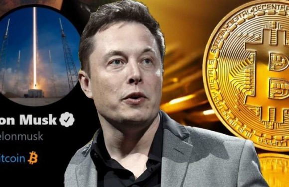 SpaceX перевела 1083 биткоинов стоимостью $100 млн на новый кошелёк