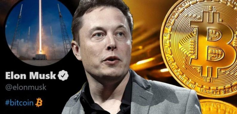 SpaceX перевела 1083 биткоинов стоимостью $100 млн на новый кошелёк