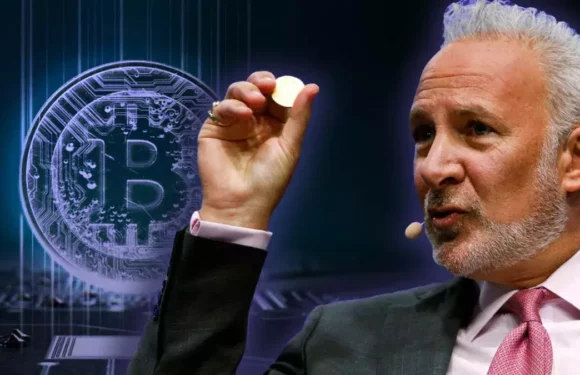 Шиффа подняли на смех за прогноз на падение биткоина до $10,000