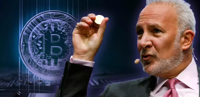 Шиффа подняли на смех за прогноз на падение биткоина до $10,000
