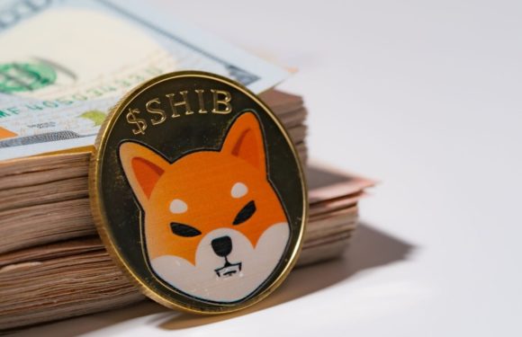 Shiba Inu под угрозой из-за распродажи китов и редкого технического паттерна
