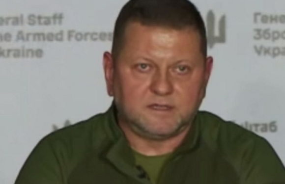 Стало известно, при каком условии Залужный сможет заменить Зеленского