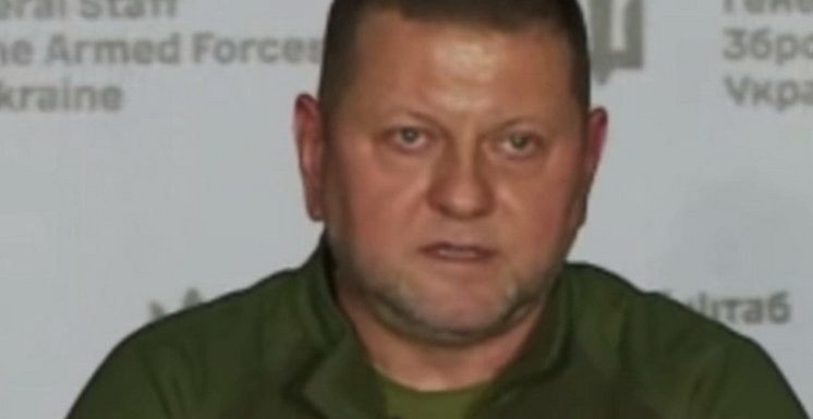 Стало известно, при каком условии Залужный сможет заменить Зеленского