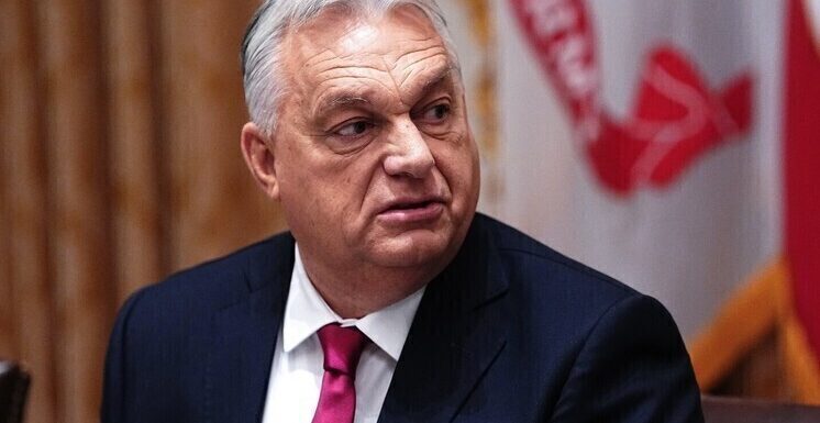 Орбан попросил Трампа «отдать» ему пресс-секретаря Белого дома Левитт