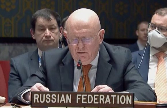 Небензя высказал предостережение по резолюции по Газе