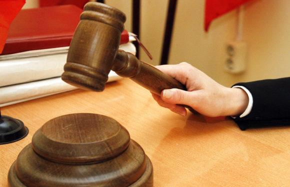 Похитителю собаки грозит обвинение по двум статьям УК