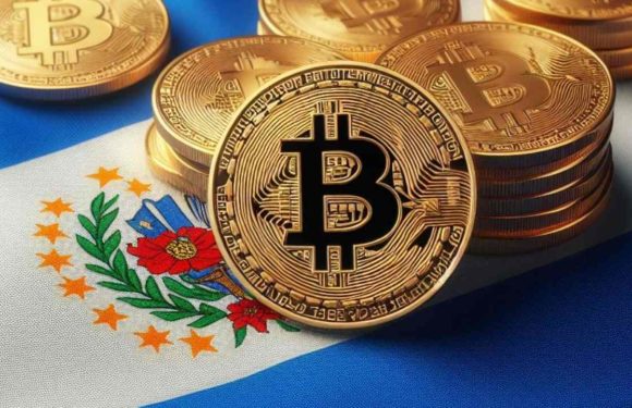 В Сальвадоре модернизировали программу обучения концепции биткоина