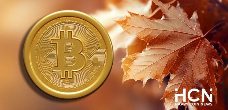 На рынке биткоина усилился медвежий тренд, но отскок не исключается