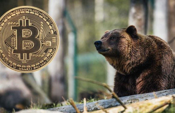 Ходлеры-киты грозятся обрушить курс биткоина до $90,000