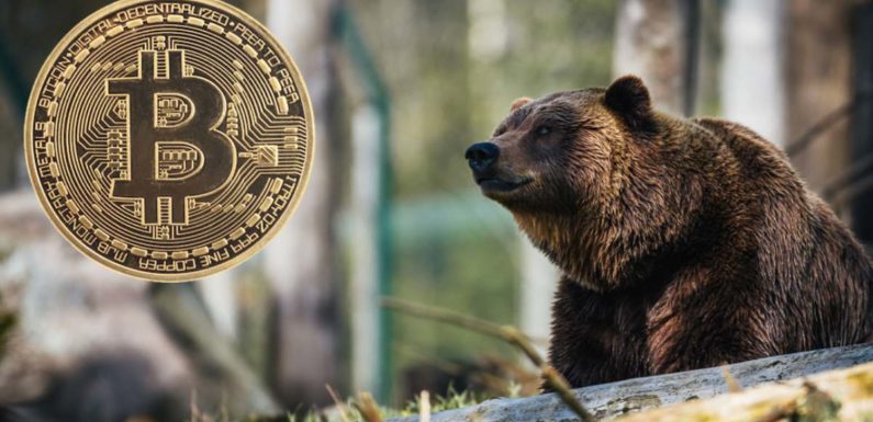 Ходлеры-киты грозятся обрушить курс биткоина до $90,000