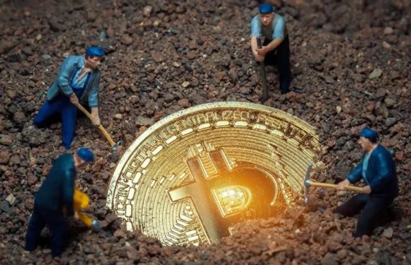 Фирма Bitfarms перестанет майнить биткоины из-за больших убытков