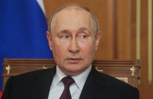 Путин: новая редакция мирного плана Трампа пока не обсуждалась с Россией