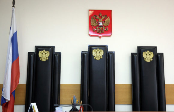 Убийцу собаки-чемпиона приговорили к исправительным работам