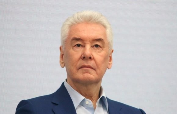 Собянин: За год в проекте «Урок с чемпионом» приняли участие 4,5 тыс. школьников