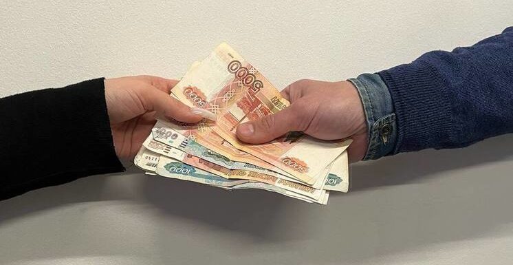 В МВД оценили сообщения об ущемлении прав вдов участников СВО