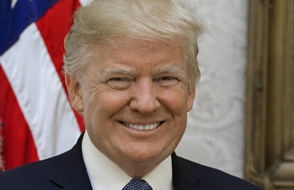 Трамп дал оценку новым властям Сирии