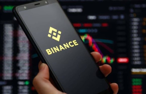Биржа Binance запустила сервис заработка на криптовалютах для детей