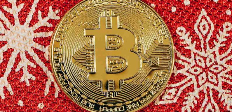 Искусственный интеллект ожидает слабый рост биткоина к 25 декабря