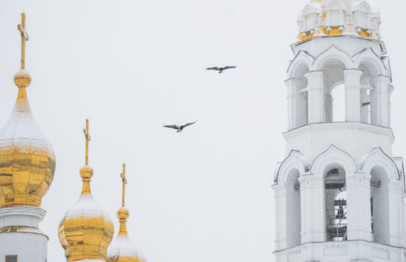 В РПЦ рассказали, как Церковь относится к кремации и что происходит с душой