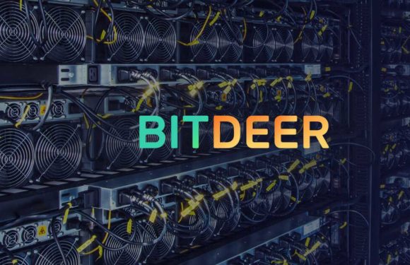 Биткоин-майнер Bitdeer обогнал MARA и стал лидером по хешрейту и использованию ИИ