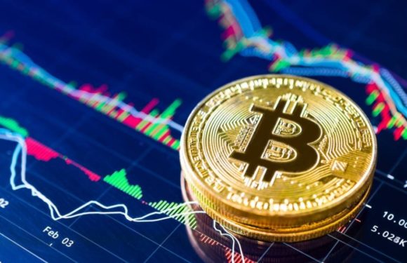 В VanEck составили долгосрочный прогноз на биткоин до 2050 года