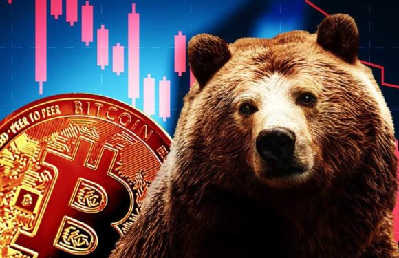 При каком условии на рынке биткоина закончится медвежий тренд?