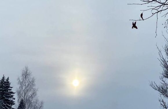 Ученые сообщили о вероятности магнитных бурь