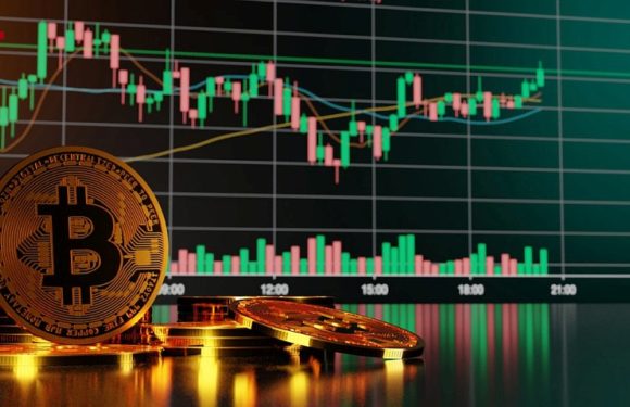 Трейдеры фьючерсами и опционами ставят на рост биткоина до $80,000