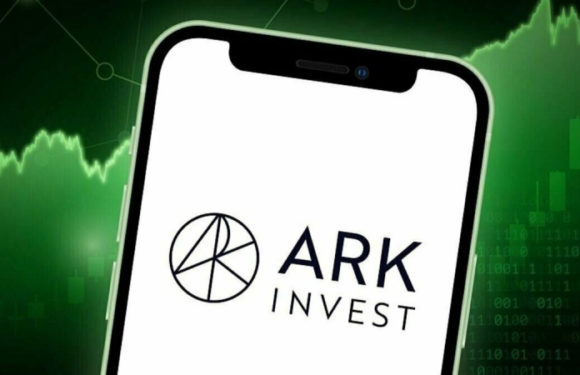 Компания Ark Invest купила акции Block Inc на $37 млн на фоне их падения